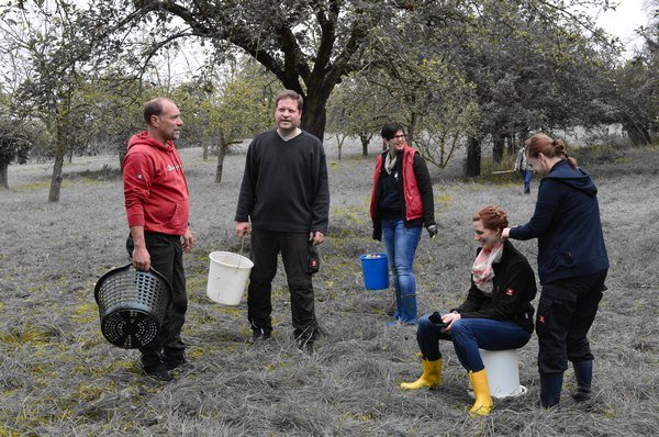 Vom Apfel zum Saft 2014