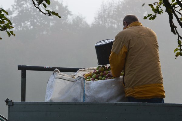 Vom Apfel zum Saft 2014