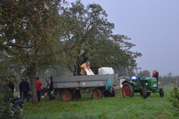 Vom Apfel zum Saft 2014