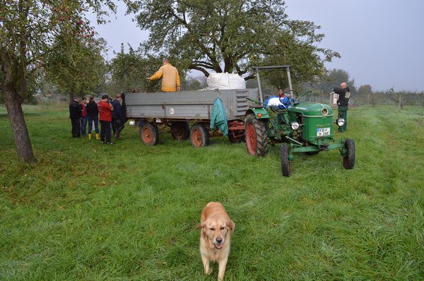 Vom Apfel zum Saft 2014