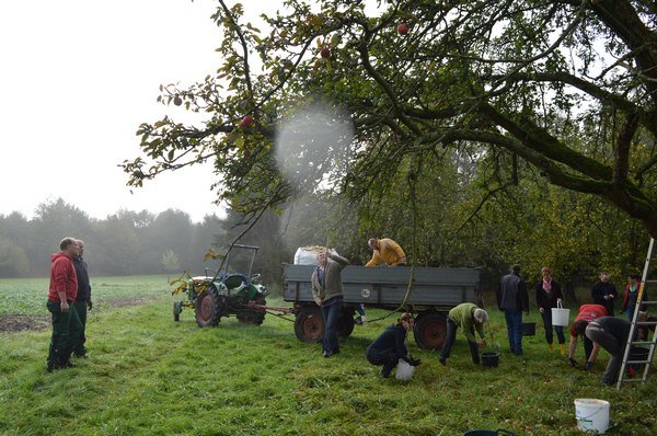 Vom Apfel zum Saft 2014