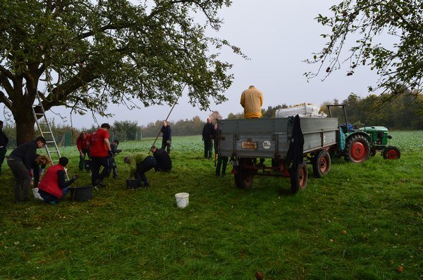 Vom Apfel zum Saft 2014