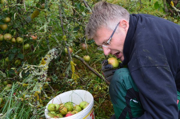 Vom Apfel zum Saft 2014