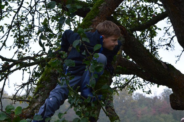 Vom Apfel zum Saft 2014