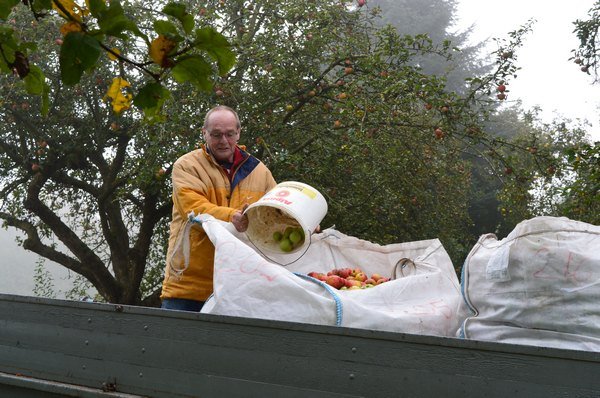 Vom Apfel zum Saft 2014