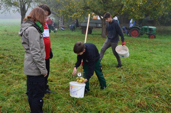 Vom Apfel zum Saft 2014