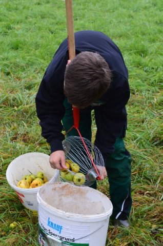 Vom Apfel zum Saft 2014