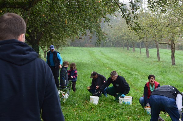 Vom Apfel zum Saft 2014