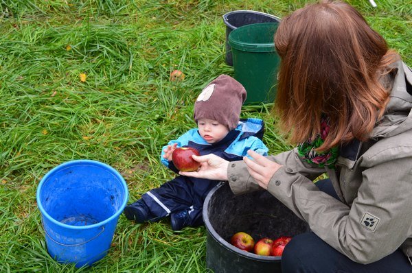 Vom Apfel zum Saft 2014