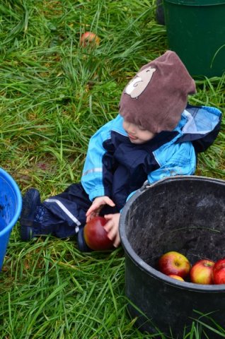 Vom Apfel zum Saft 2014