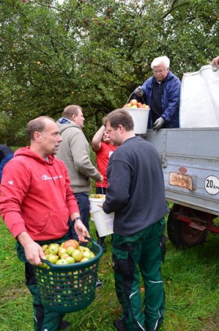 Vom Apfel zum Saft 2014