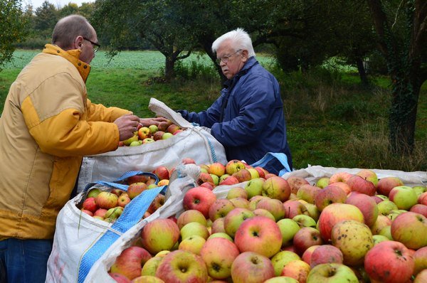 Vom Apfel zum Saft 2014