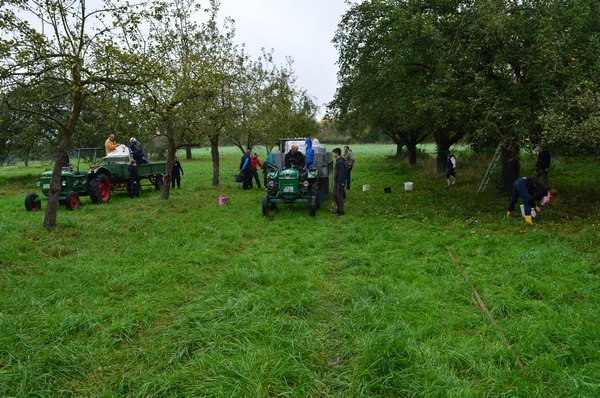 Vom Apfel zum Saft 2014