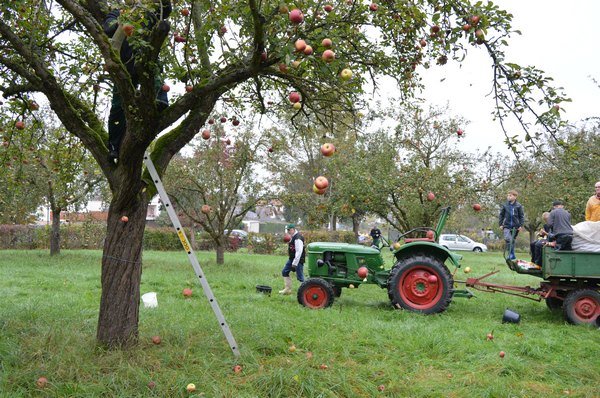 Vom Apfel zum Saft 2014