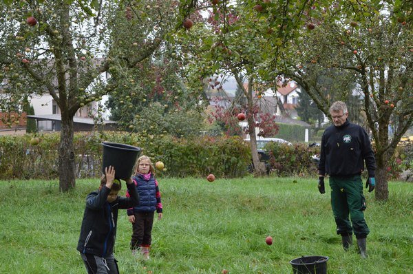 Vom Apfel zum Saft 2014