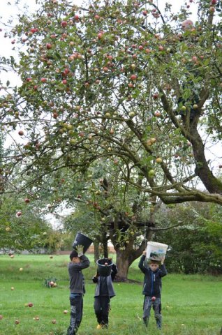 Vom Apfel zum Saft 2014