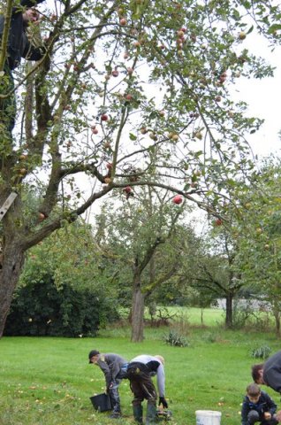 Vom Apfel zum Saft 2014