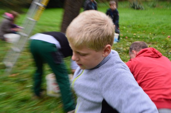 Vom Apfel zum Saft 2014