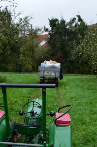 Vom Apfel zum Saft 2014