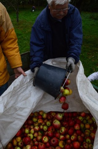 Vom Apfel zum Saft 2014