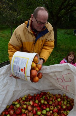 Vom Apfel zum Saft 2014