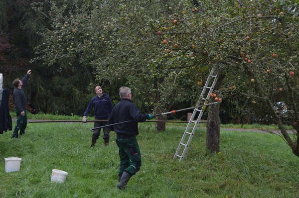 Vom Apfel zum Saft 2014