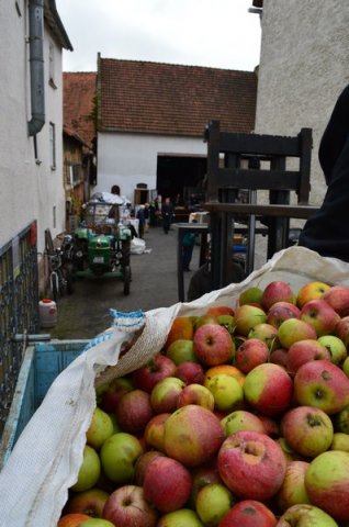 Vom Apfel zum Saft 2014