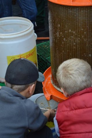 Vom Apfel zum Saft 2014