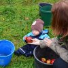 Vom Apfel zum Saft 2014