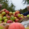 Vom Apfel zum Saft 2014