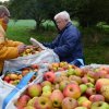 Vom Apfel zum Saft 2014