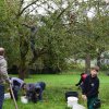 Vom Apfel zum Saft 2014