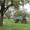 Vom Apfel zum Saft 2014