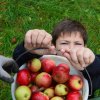 Vom Apfel zum Saft 2014