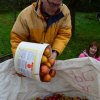 Vom Apfel zum Saft 2014