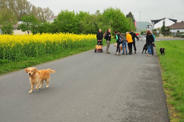 1.Mai Wanderung 2015 - Bilder von Nico