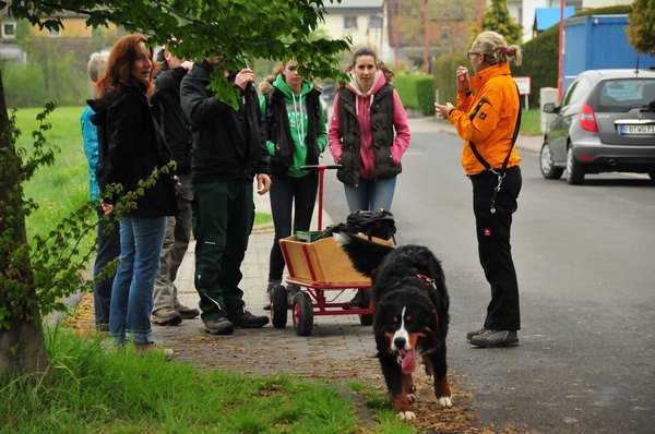 1.Mai Wanderung 2015 - Bilder von Nico