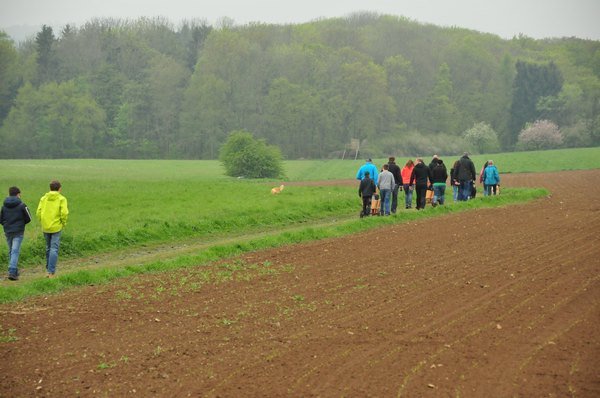 1.Mai Wanderung 2015 - Bilder von Nico