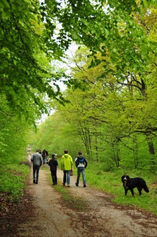1.Mai Wanderung 2015 - Bilder von Nico