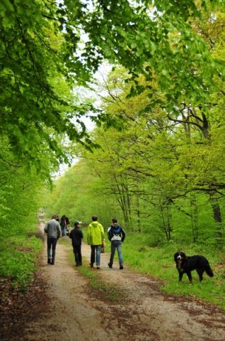 1.Mai Wanderung 2015 - Bilder von Nico