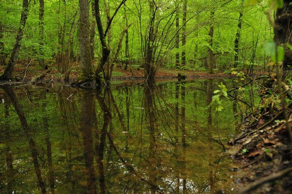 1.Mai Wanderung 2015 - Bilder von Nico