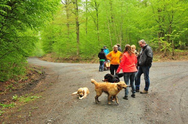 1.Mai Wanderung 2015 - Bilder von Nico