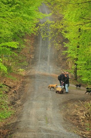 1.Mai Wanderung 2015 - Bilder von Nico