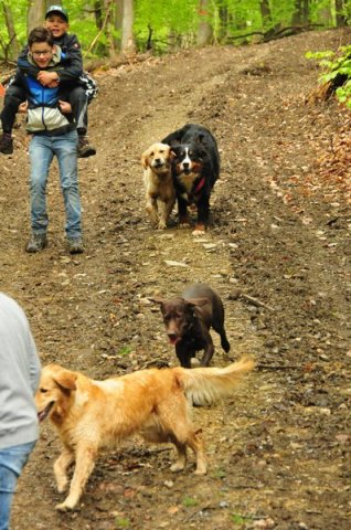 1.Mai Wanderung 2015 - Bilder von Nico