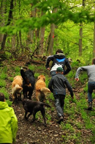 1.Mai Wanderung 2015 - Bilder von Nico