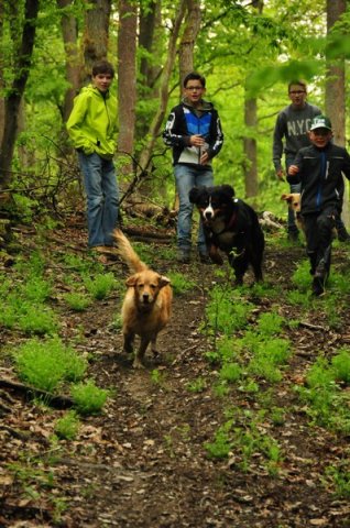 1.Mai Wanderung 2015 - Bilder von Nico
