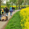 1.Mai Wanderung 2015 - Bilder von Nico