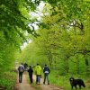 1.Mai Wanderung 2015 - Bilder von Nico