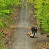 1.Mai Wanderung 2015 - Bilder von Nico