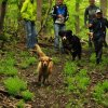 1.Mai Wanderung 2015 - Bilder von Nico